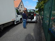 Sorbon - pes fotbalista